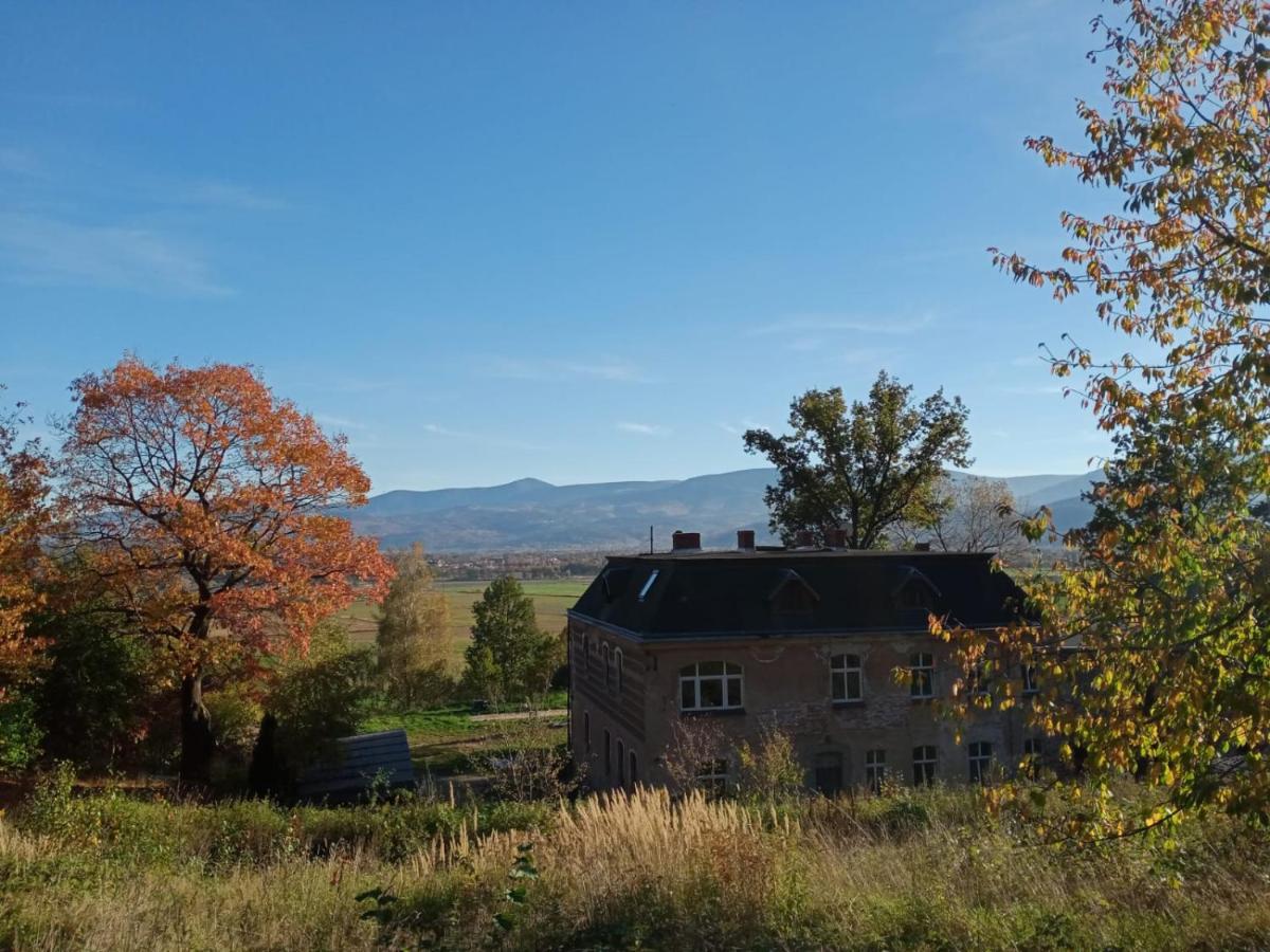 Sunny Bear Bed & Breakfast Jelenia Góra Εξωτερικό φωτογραφία