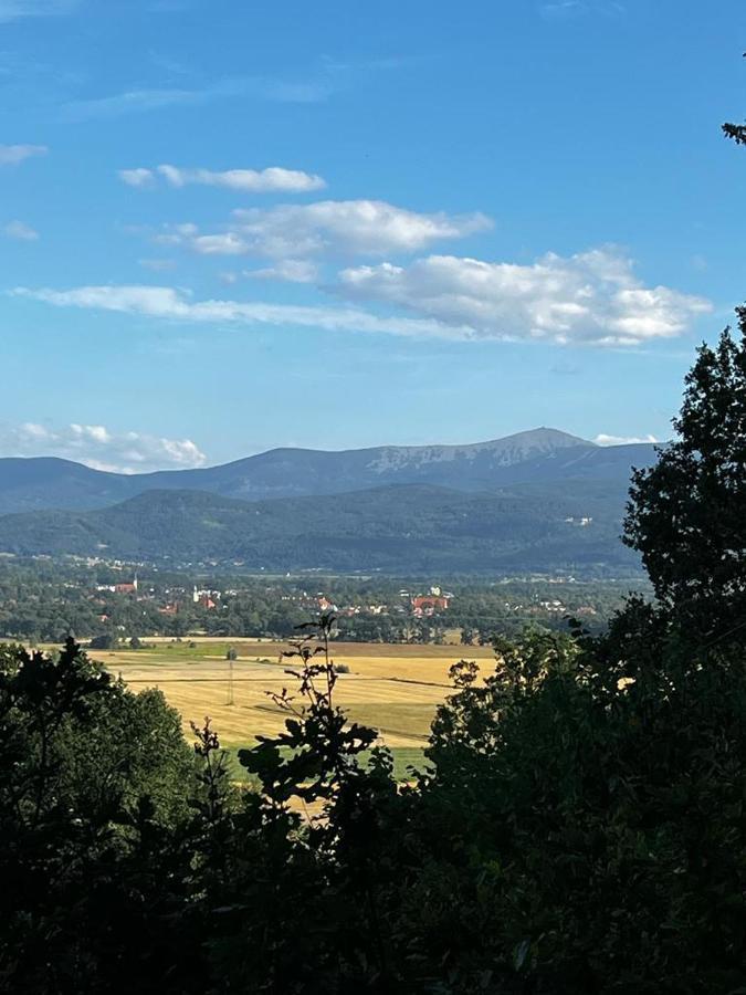 Sunny Bear Bed & Breakfast Jelenia Góra Εξωτερικό φωτογραφία