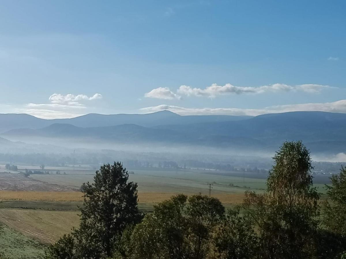 Sunny Bear Bed & Breakfast Jelenia Góra Εξωτερικό φωτογραφία