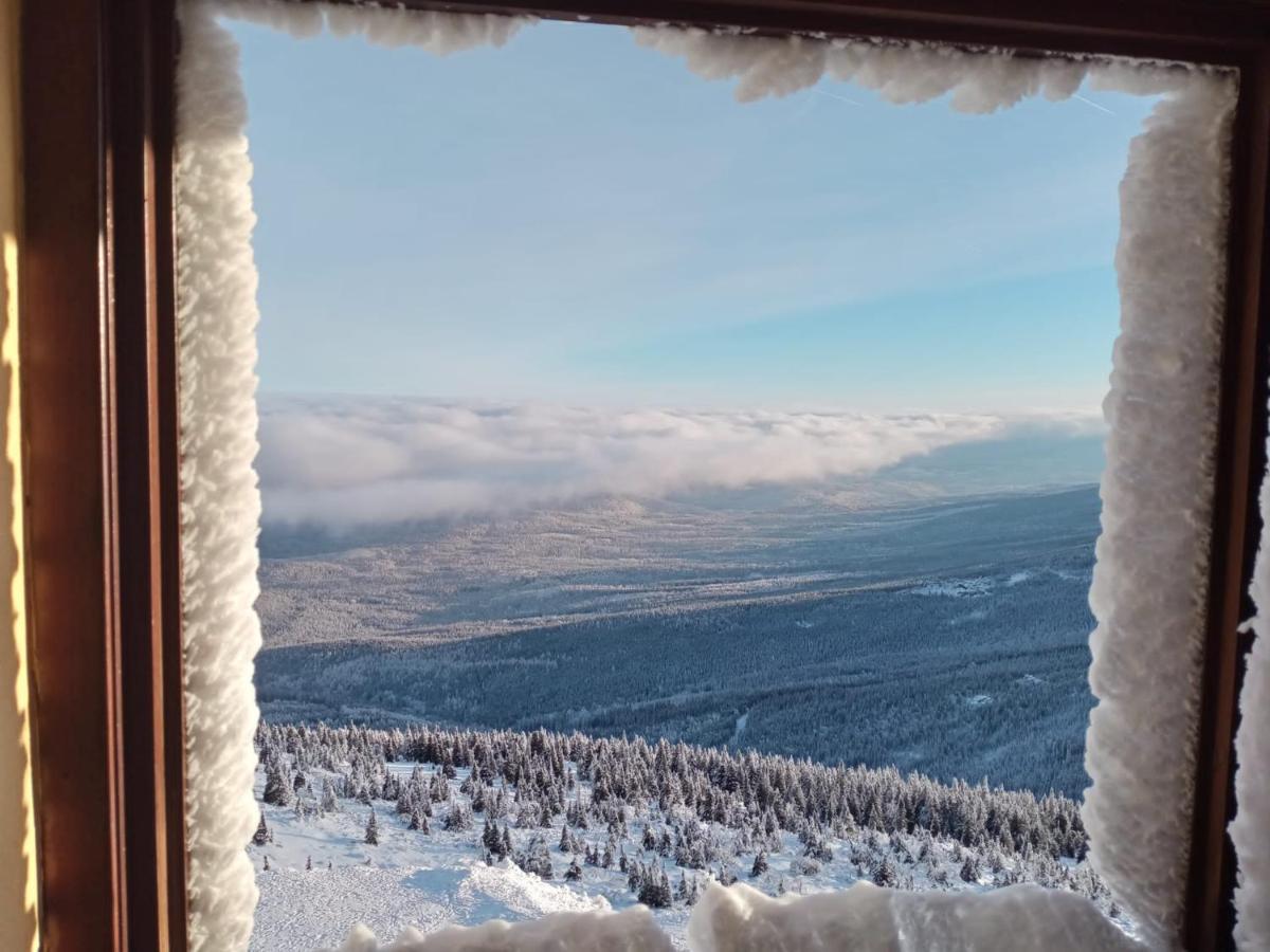Sunny Bear Bed & Breakfast Jelenia Góra Εξωτερικό φωτογραφία